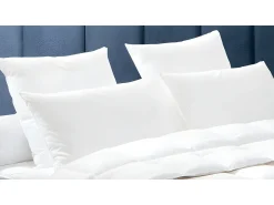 Almofada DODO Natural Penugem e plumas BAFFIN - 65 x 65 cm