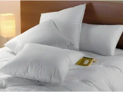 Almofada DODO Natural Penugem e plumas BAFFIN - 65 x 65 cm