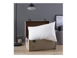 Almofada Grand Luxe Quallofil Allerban 50x70cm