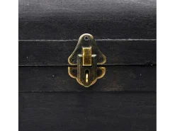 Arca de arrumação grande madeira preto