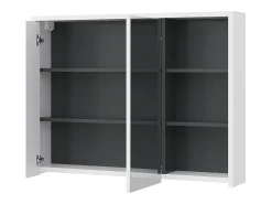 Armário com espelho de casa de banho branco/antracite 100x18x75 viola