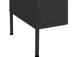 Armário de arrumação aço 80x35x101,5 cm antracite