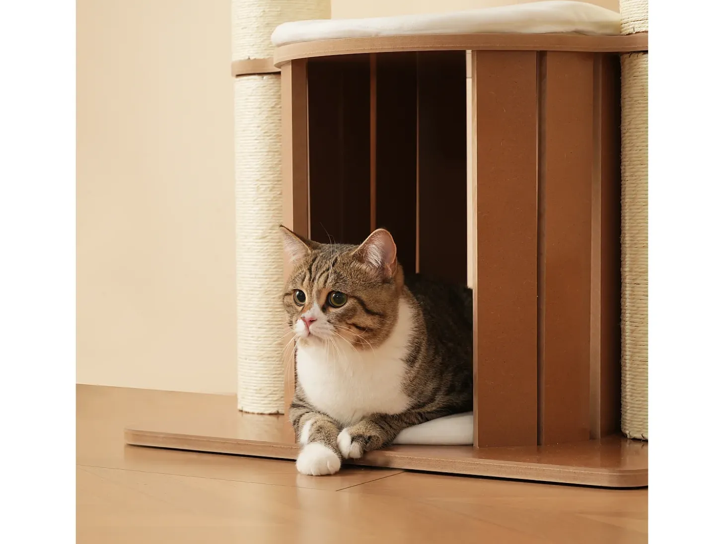 Arranhador para gatos 135 cm de altura - 3 plataformas - 1 casinha para gatos - branco