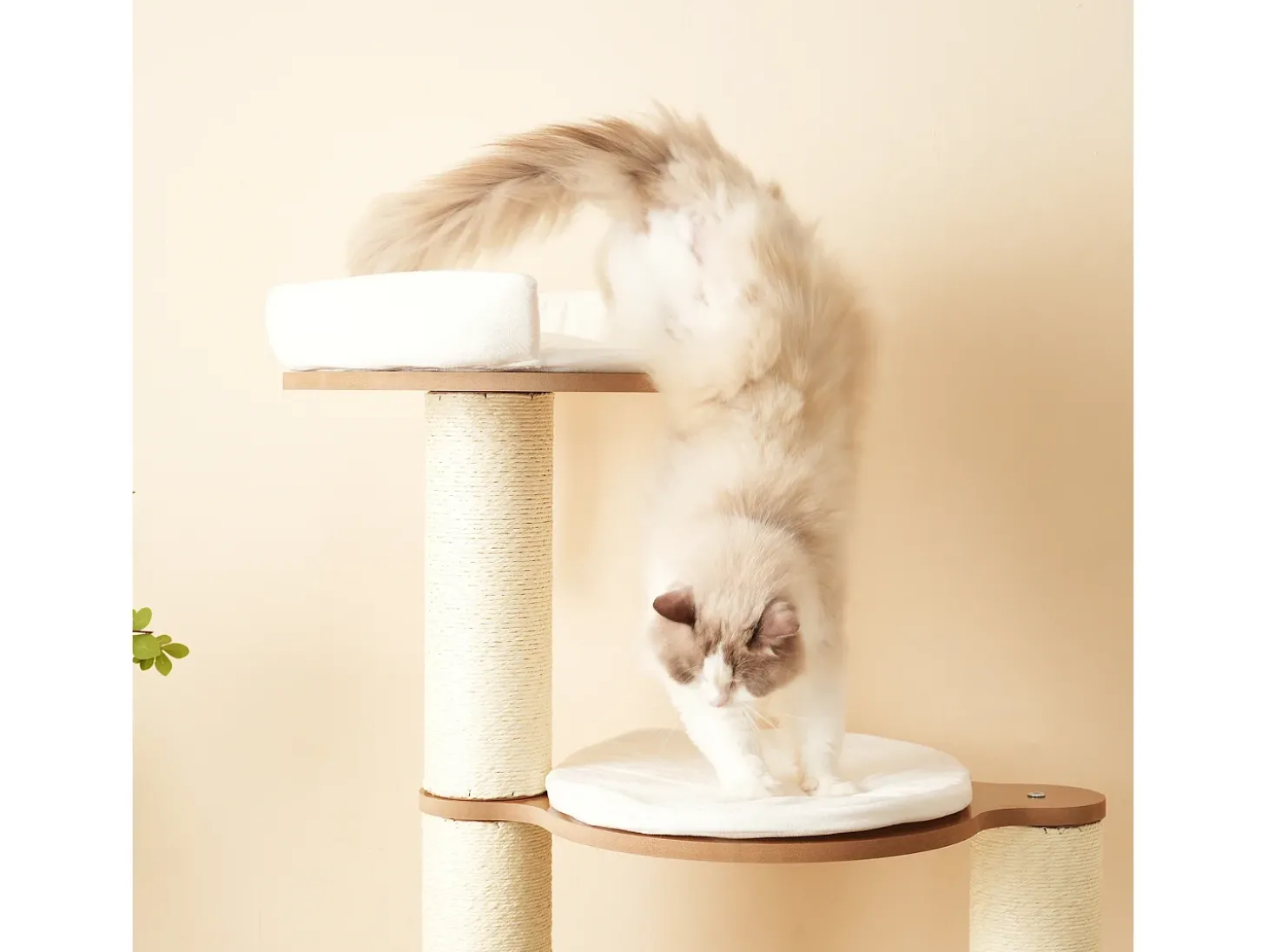 Arranhador para gatos 135 cm de altura - 3 plataformas - 1 casinha para gatos - branco