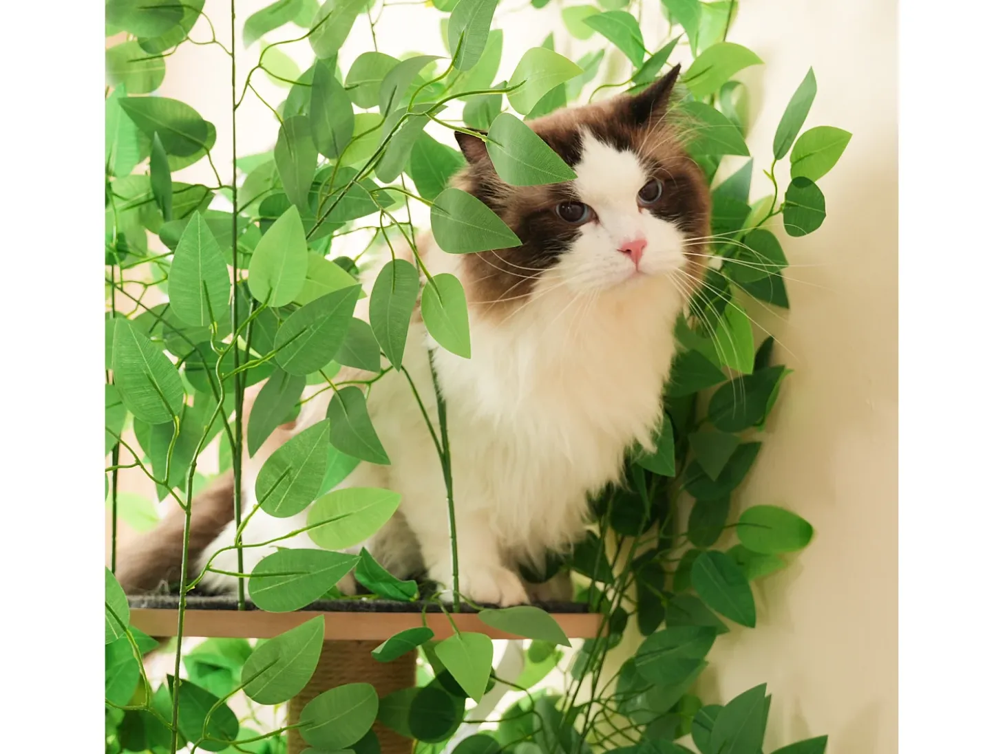 Arranhador para gatos de 190 cm de altura - com 4 plataformas e 1 buraco para gatos - lâminas removíveis - verde