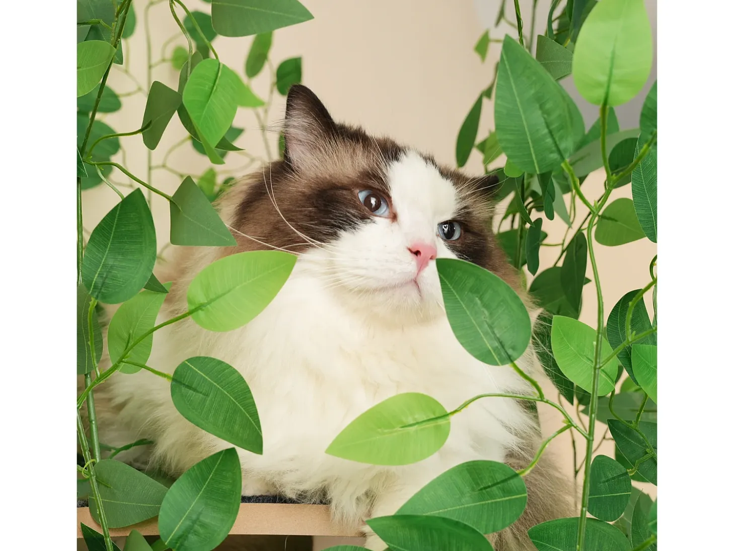 Arranhador para gatos de 190 cm de altura - com 4 plataformas e 1 buraco para gatos - lâminas removíveis - verde