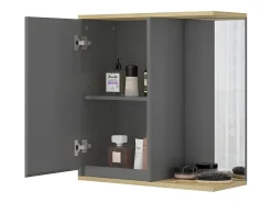Badezimmerspiegelschrank antracite 60x24x63 livia