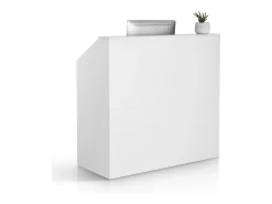 Balcão de Recepção, SucceBuy Balcão de Recepção 118 cm, Mesa de Balcão Retangular, Escritório Branco