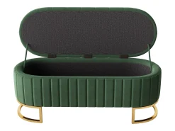 Banco com espaço de armazenamento e apoio para os pés - 120 x 39,9 x 43 cm - com espaço de armazenamento - veludo - verde