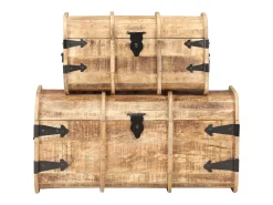 Baús de arrumação 2 pcs madeira de mangueira maciça