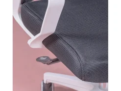 Cadeira de secretária ergonómica em mesh respirável e apoio de cabeça ajustável - Mesh - Preto