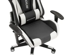 Cadeira Gaming – ergonómica, altamente ajustável – Skilled, Preta e Branca