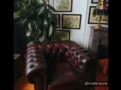 Cadeirão 100% pele de búfalo Castanho estilo chesterfield - BRENTON