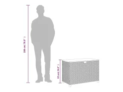 Caixa arrumação jardim 110x55x63 cm vime PE/acácia maciça cinza