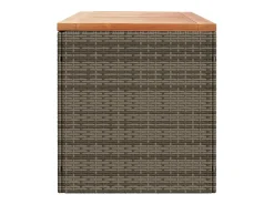 Caixa arrumação jardim 220x50x54 cm vime PE/acácia maciça cinza