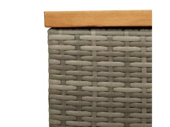 Caixa arrumação jardim 220x50x54 cm vime PE/acácia maciça cinza