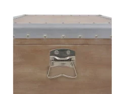 Caixa de arrumação madeira de abeto maciça 91x52x40 cm castanho