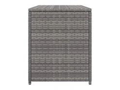 Caixa de arrumação para jardim 120x50x60 cm vime PE cinzento