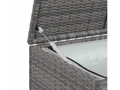 Caixa de arrumação para jardim 120x50x60 cm vime PE cinzento