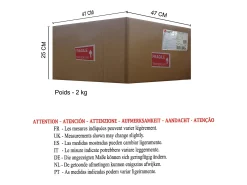 Candeeiro de pé para leitura TOSEL ADONIS metal arqueado Dourado D42 x H157 cm