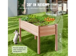 Canteiro de Jardim Elevado em Madeira SucceBuy, 120 x 59 x 76 cm para Flores, Legumes e ervas
