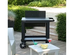 Carrinho de Jardim REVA 80 para Plancha - Prático e Modular