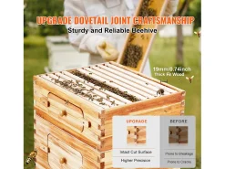 Colmeia para Abelhas SucceBuy Langstroth Kit 10 Quadros Profundos e 10 Quadros Médios Janelas de Acrílico