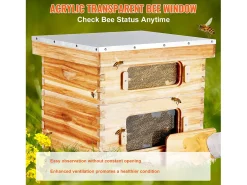 Colmeia para Abelhas SucceBuy Langstroth Kit 10 Quadros Profundos e 10 Quadros Médios Janelas de Acrílico