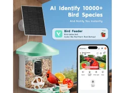 Comedouro para Aves Inteligente SucceBuy com Câmera, 2K HD, Espécies IA, Alimentado pela Energia Solar