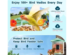 Comedouro para Aves Inteligente SucceBuy com Câmera, 2K HD, Espécies IA, Alimentado pela Energia Solar