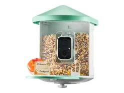 Comedouro para Aves Inteligente SucceBuy com Câmera, 2K HD, Espécies IA, Alimentado pela Energia Solar