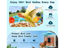 Comedouro para Aves Inteligente SucceBuy com Câmera, 2K HD, Espécies IA, Alimentado pela Energia Solar