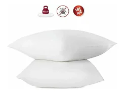 Conjunto de 2 almofadas antiácaros 60 x 60 cm 100% algodão tratado Bio - Abeil