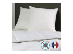 Conjunto de 2 Almofadas Antiácaros Belle Nuit 60x60 cm Branco DODO - Conforto Macio