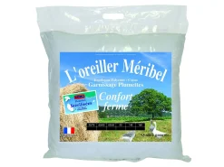 Conjunto de 2 almofadas DODO naturais firmes de penas 60 x 60 cm - MERIBEL