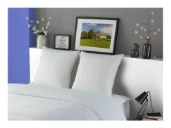 Conjunto de 2 Almofadas MERIBEL Plumettes 60x60cm DODO Confort Ferme