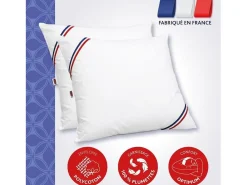 Conjunto de 2 Almofadas MERIBEL Plumettes 60x60cm DODO Confort Ferme
