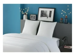 Conjunto de 2 almofadas Tentação 60x60 cm - Enchimento 100% Poliéster - Branco