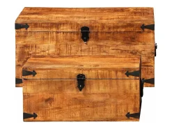 Conjunto de 2 cofres armazenamento de madeira de mango