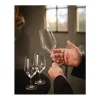 Conjunto de 6 Copos de Pé 45 cl Coleção Evidence por Chef&Sommelier