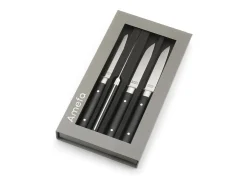 Conjunto de 4 facas de carne Fusion Noir - Lâmina lisa e cabo em ABS - 22 cm