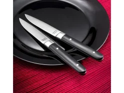 Conjunto de 4 facas de carne Fusion Noir - Lâmina lisa e cabo em ABS - 22 cm