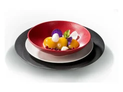 Conjunto de 6 Pratos Rasos Stone Vermelho 27 cm - Coleção Médard de Noblat
