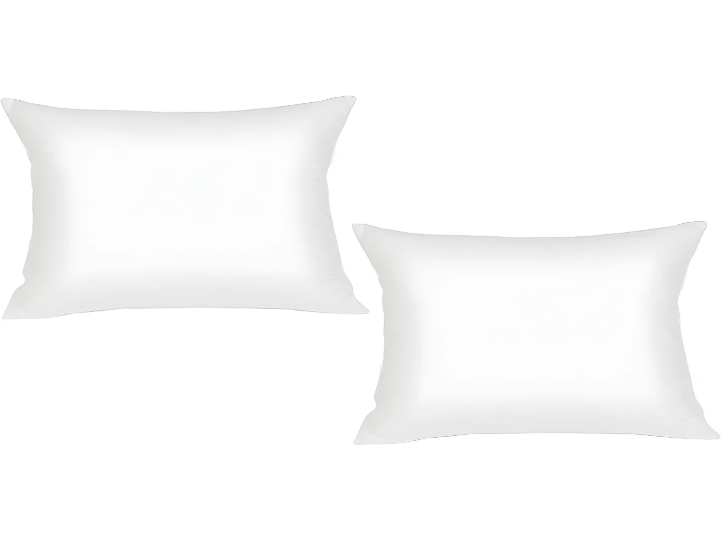 Conjunto de 2 protetores de almofada DODO absorventes - 60x60 cm - ULTRA CONFORTO
