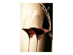 Conjunto de 2 taças Open Up Universal Tasting 40 cl para todos os tipos de vinho