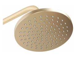 Conjunto De Chuveiro Cromado Rea Luis Brush Gold