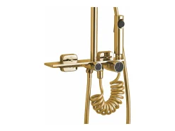 Conjunto De Chuveiro Cromado Rea Helix Gold