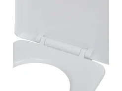 Conjunto de dois assentos sanitários com tampas de plástico branco 02_0002956