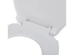 Conjunto de dois assentos sanitários com mecanismo de fechamento suave plástico branco 02_0002955