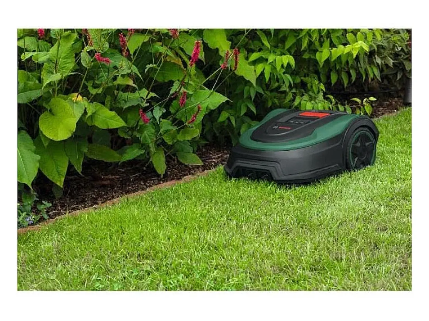 Cortador de relva robot BOSCH Indego S+ 500 - Relvado perfeito sem esforço